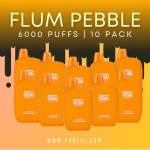 Experience the Magic of Flum Pebble Vape