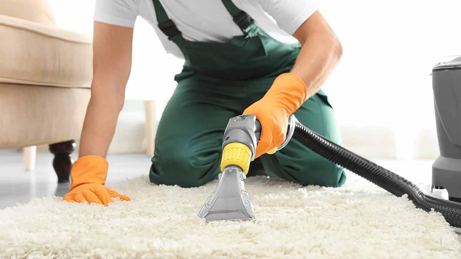 Spotless Wonders A Comprehensive Approach to Carpet Cleaning Excellence